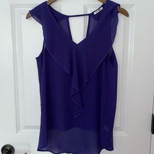 Purple Blue Sketch Top